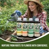 PlantVantage Concentrated Plant Fertilizer Bundle – Liquid Plant Food for