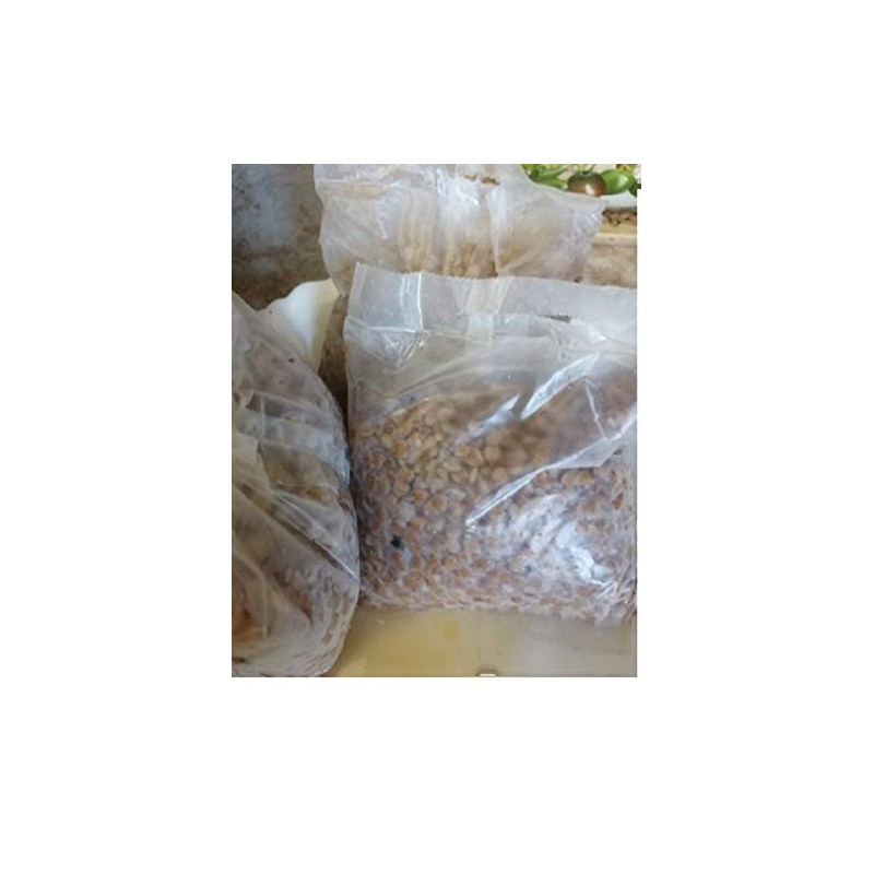 Makfa Buckwheat Groats in boil bags 3 PACK NO GMO