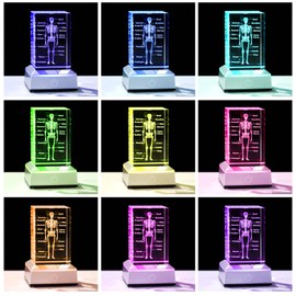 Enjinkail 3D Crystal Human Skeleton Anatomy Model Medical Decor Gifts for Doctor, Laser Etched Science Biology Figurine Paperweight Psychology Graduation Gifts for Medical Students with LED Base