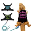 Bearded Dragon Lizards Clothes with Leash Set - Cute Lizard