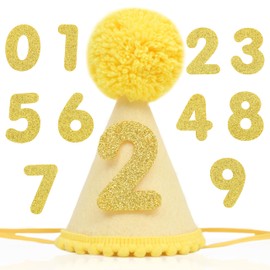 Pet Birthday Hat with Interchangeable Numbers 1-10 | Adjustable Pet Party Cone Hat for Dogs & Cats | Puppy Birthday Photo Props for 1st to 10th Birthday Celebrations (Yellow Birthday Pet Hat)
