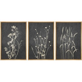 Ashbrook Framed Canvas Print Wall Art Set Black Tan Forest Plant Silhouettes Nature Wilderness Illustrations Modern Art Rustic Chic Colorful for Living Room, Bedroom, Office - 24"x36"x3 Natural
