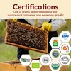 Red Bee Propolis Extract,100% Pure Extract Bee Propolis Tincture, High