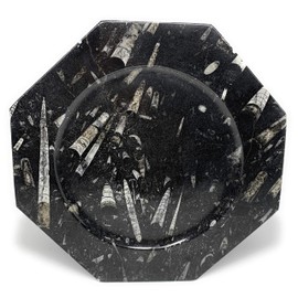 2784 Grams, 2 Plates set, 12" Large Unique Pattern Octagon Shape Black Fossils Orthoceras Plates from Morocco, B8271