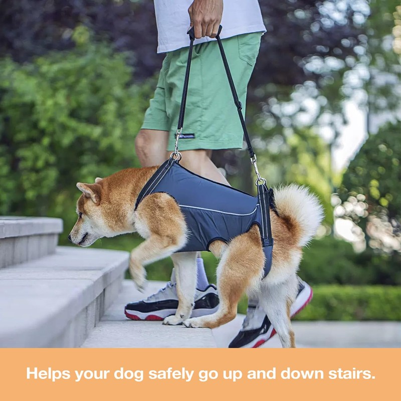 Dog Lift Harness for Senior & Injured Dogs – Full