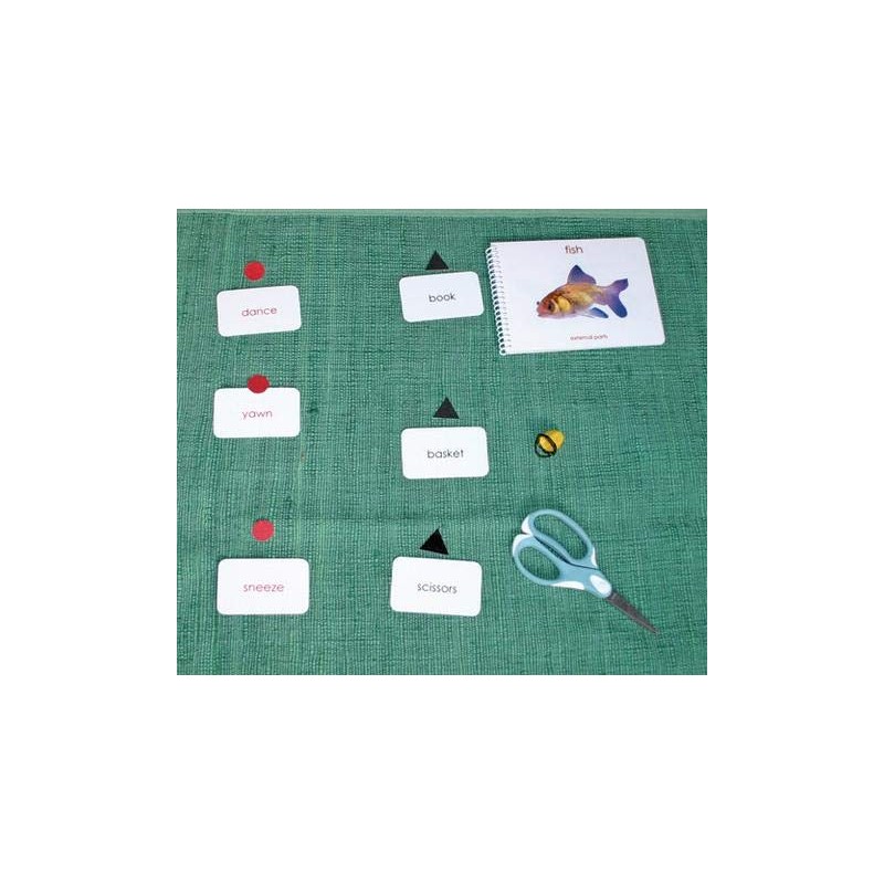 Grammar/Function of Words Card Activities (Montessori)