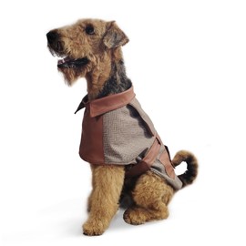 Elegant Autumn Cape for Dogs – Designed Lightweight Fabric and Faux Leather Accents. UV Protection & Breathable Fabric(Large), Cocker Spaniel