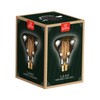 Globe Electric 84654 Designer 40W Labo Vintage Bulb