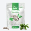 Olive Leaf Extract 500 mg 120 Capsules High Strength Extract