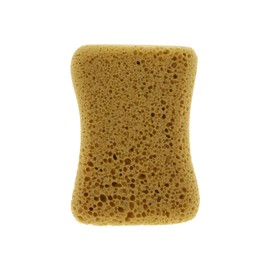 Carlinea 011012 Large Wash Sponge