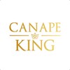 CANAPE KING Disposable Bamboo Skewers - 100pcs Natural Fruit Sticks