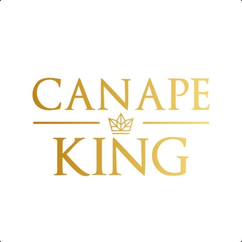 CANAPE KING Disposable Bamboo Skewers - 100pcs Natural Fruit Sticks