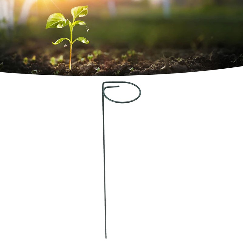 12Pcs Plant Stakes Reusable Plant Sticks Support Anti Rust Stem
