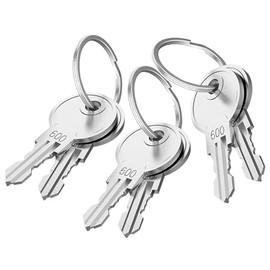 Litensh 6PCS Alike Keys Only Compatible with Litensh Aliked Mailbox Lock on This Page