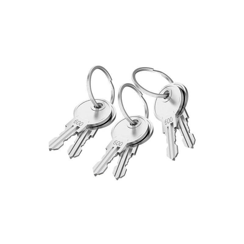 Litensh 6PCS Alike Keys Only Compatible with Litensh Aliked Mailbox