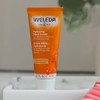 Weleda Sea Buckthorn Hand Cream - 1.7 Oz, 1.7 Ounces