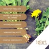 IGART Dandelion Root Cut 200 g | Dandelion Cut |