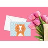 Stonehouse Collection | Orange Tabby Cat Note Cards | Kitty