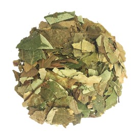 Avocado Leaves Herbal Tea Hojas de Aguacate Value Pack (75g)