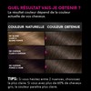 Garnier Olia Permanent Hair Colour Ammonia Free with Natural Flower