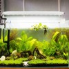 13W High Bright LED Light Lamp with Bracket for Aquarium