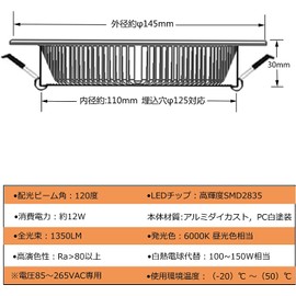 LED Downlight, φ125, 12W, Recessed Type Ceiling Light, Recessed LED, AC85-265V, Not Compatible with Dimmers, External Power Supply, Construction Required, Illumination Angle 120°, Compatible with Enclosed Fixtures, Embedded Hole φ4.9 inches (125 mm), Day
