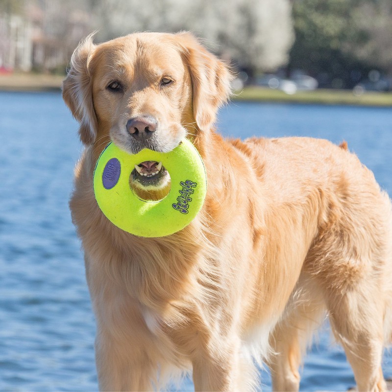 KONG Air Dog Squeaker Donut Dog Toy, Large