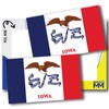 Magnet Me Up Iowa US State Flag Bumper Sticker Decal,
