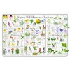 Where's Wildlife Native Wildflowers of Indiana Poster - Flower Chart