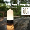 WEILAILUX Battery Operated Shower Lamp Waterproof, Small Portable Cordless Table