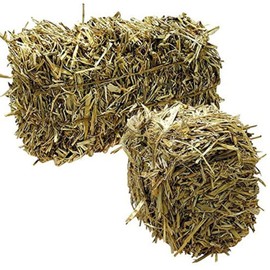 Green Vista Barley Straw Bales for Farm Pond Water Treatment - 8 to 10 Pounds - Treats 1/4 Acre Farm or Retention Pond for 6 Months! - Supports Water Balance - Safe for Koi, Fish and Plants