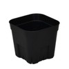 Apple Wear Prestella 90 Type 10 Pairs Black