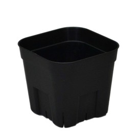 Apple Wear Prestella 90 Type 10 Pairs Black