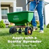 Scotts Turf Builder SummerGuard Lawn Food with Insect Control, Fertilizer