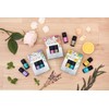Daily Delight Essential Oil Set, 0.1 fl oz (3 ml)