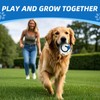 SHAKE AND LAUGH Glow in The Dark Dog Toys Ball,