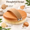 Natural Boar Bristle Body Brush – Wooden Bamboo Dry &