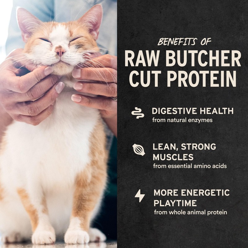 Vital Essentials Minnows Cat Treats, 0.5 oz | Freeze-Dried Raw