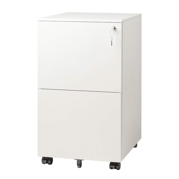 DEVAISE 2-Drawer Mobile File Cabinet with Lock, Commercial Vertical Cabinet in White