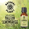 Natural Planet Lemongrass Essential Oil 15ML Natural 100% Pure &