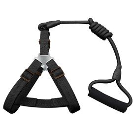 Dog Harness with Dog Lead - Versatile Chest Harness for Dogs Robust, Tear-Resistant & Comfortable 120 cm Dog Lead for Small, Medium and Large Dogs for Walks and Training (Black, M)