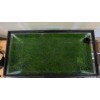 Guppy Grass Live Aquarium Plant - Najas guadalupensis - 3.25
