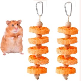 TAOHUAJIANG 2PCS Fruit Flavor Loofah Chew Toys Rabbit Chew Toys Guinea Pig Chew Toys Hamster Chew Toys Rabbit Chew Toys for Teeth Rabbit Toys Guinea Pig Toys