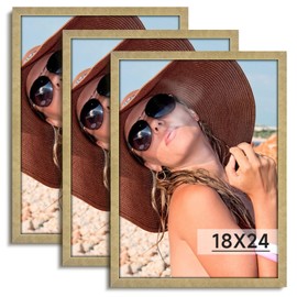 HLiWEGNS Matte Gold 18x24 Frame Set of 3 - Vintage 18 x 24 Poster Frame with Plexiglass for Wall Gallery Display, 18x24 Picture Frame for Puzzles, Artwork, Photos and Posters - Ideal Christmas Day
