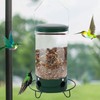 Anti Squirrel Bird Feeder | Metal Hangable Mesh Outdoors Weight