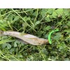thkfish 50pcs/box Micro Fishing Soft Lures Plastic Worm Baits Paddle