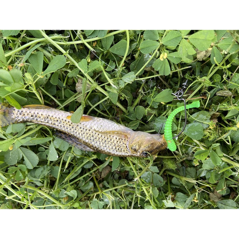 thkfish 50pcs/box Micro Fishing Soft Lures Plastic Worm Baits Paddle