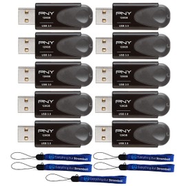 Generic PNY Flash Drive (Bulk Ten Pack) 128GB Turbo Attaché 4 USB 3.0 Works with Computer (P-FD128TBAT4-GE) Bundle with (5) Everything But Stromboli Lanyards