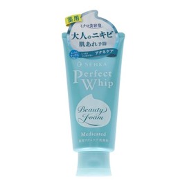 Fine Today Specialty Facial Cleansing Perfect Whip Medicated Acne Care, 4.2 oz (120 g)
