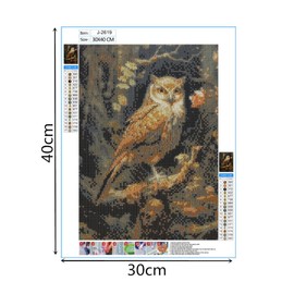 Bbtcxjs 5D Masonry and Stone Painting (owl)